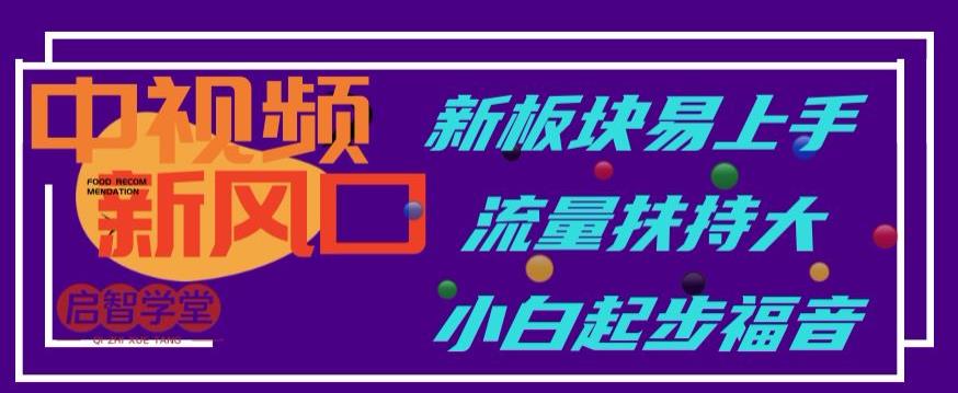 中视频新风口，新板块易上手，流量扶持大，小白起步福音【揭秘】-南青云资源库