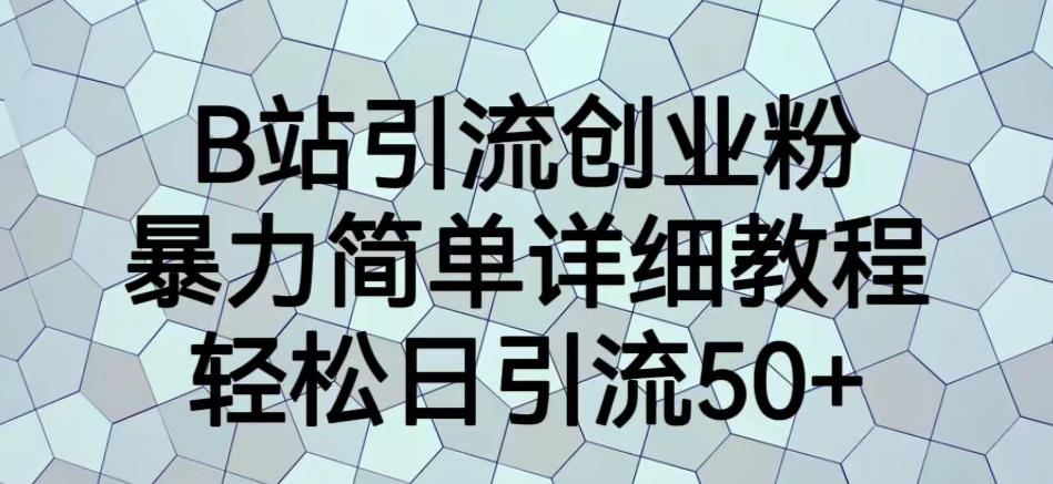 B站引流创业粉，暴力简单详细教程，轻松日引流50+【揭秘】-南青云资源库