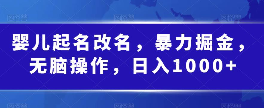 婴儿起名改名，暴力掘金，无脑操作，日入1000+【揭秘】-南青云资源库