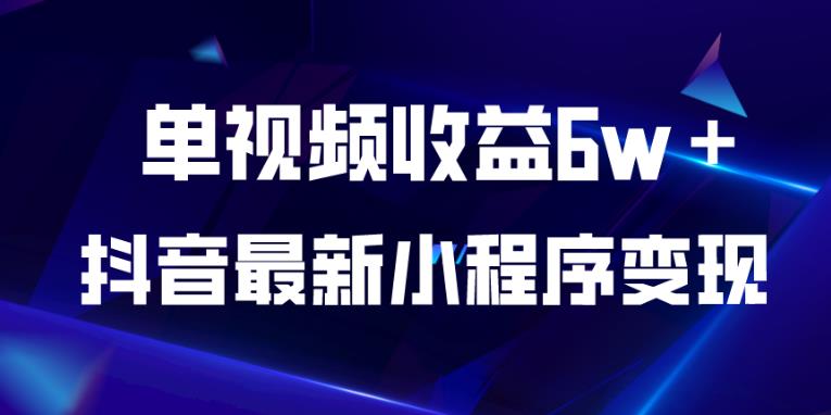 抖音最新小程序变现项目，单视频收益6w＋，小白可做【揭秘】-南青云资源库