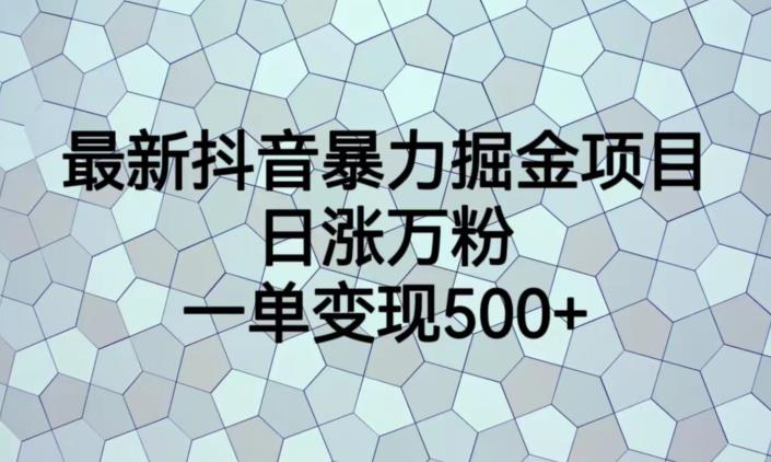 最新抖音暴力掘金项目，日涨万粉，一单变现500+【揭秘】-南青云资源库