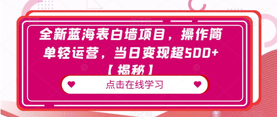 全新蓝海表白墙项目，操作简单轻运营，当日变现超500+【揭秘】-南青云资源库