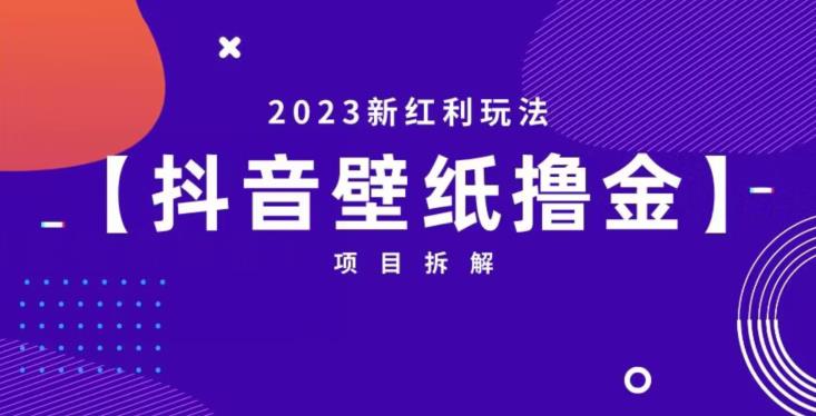 抖音壁纸小程序创作者撸金项目，2023新红利玩法【项目拆解】-南青云资源库