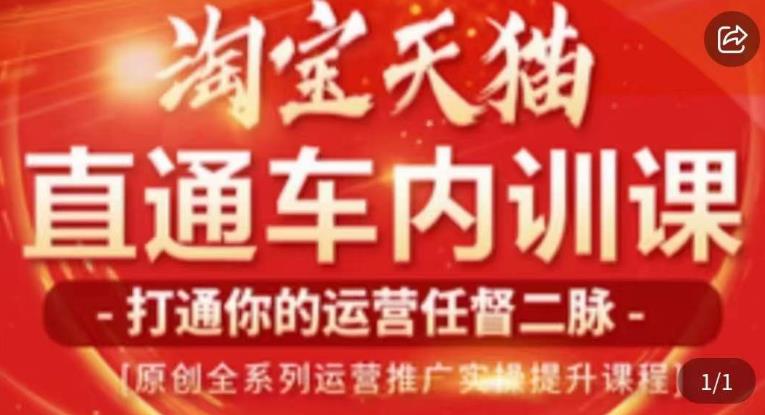 天问电商·2023淘宝天猫直通车内训课，零基础学起直通车运营实操课程-南青云资源库