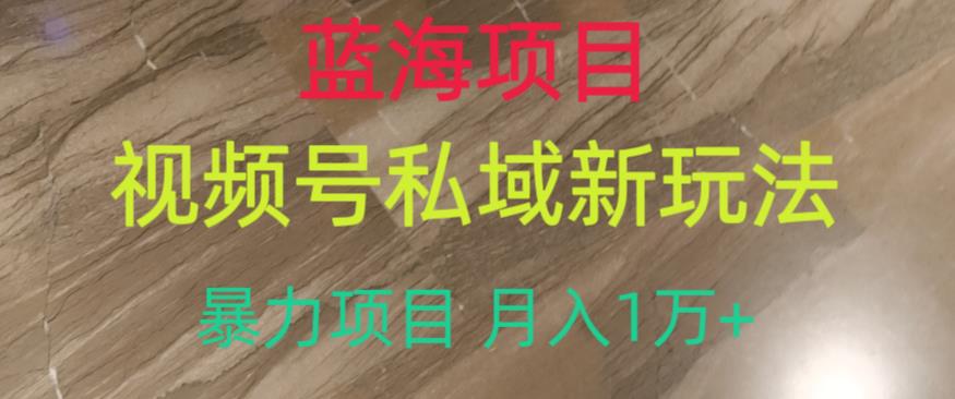 蓝海项目，视频号私域新玩法，暴力项目月入1万+【揭秘】-南青云资源库