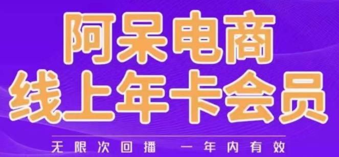 阿呆电商线上年会员，阿呆电商干货分享（更新中）-南青云资源库