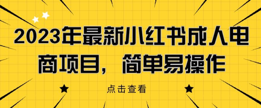 2023年最新小红书成人电商项目，简单易操作【详细教程】【揭秘】-南青云资源库