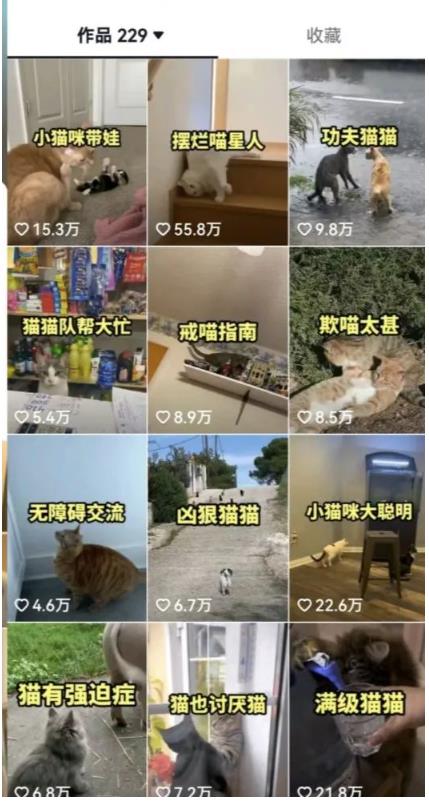 拆解：抖音盘点类中视频变现副业项目，视频版一条龙大解析分享给你-南青云资源库
