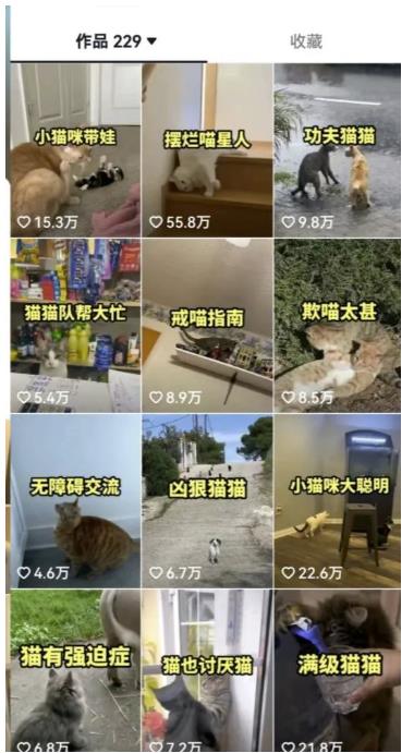 拆解抖音盘点类中视频变现副业项目，视频版一条龙大解析分享给你【视频课程】-南青云资源库