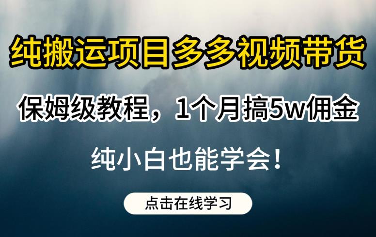 纯搬运项目多多视频带货保姆级教程，1个月搞5w佣金，纯小白也能学会【揭秘】-南青云资源库