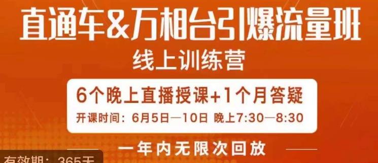 直通车&万相台引爆流量班，6天打通你开直通车·万相台的任督二脉-南青云资源库