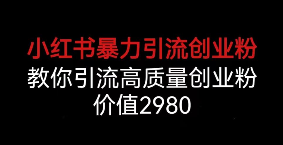小红书暴力引流创业粉，教你引流高质量创业粉，价值2980【揭秘】-南青云资源库