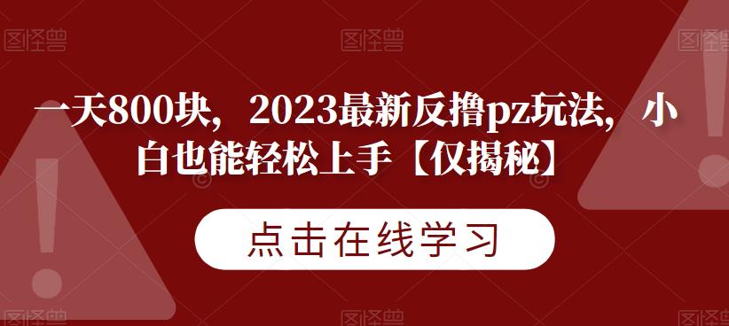 一天800块，2023最新反撸pz玩法，小白也能轻松上手【仅揭秘】-南青云资源库