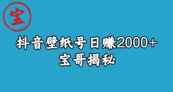 宝哥抖音壁纸号日赚2000+，不需要真人露脸就能操作【揭秘】-南青云资源库