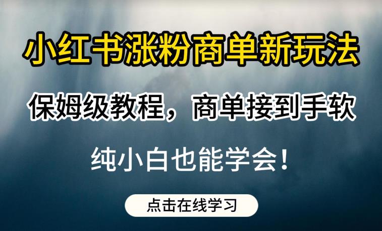 小红书涨粉商单新玩法，保姆级教程，商单接到手软，纯小白也能学会【揭秘】-南青云资源库