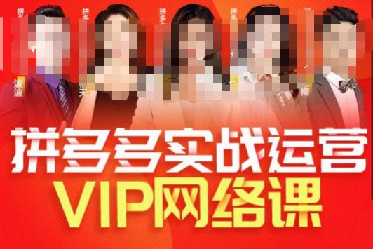 推易拼多多VIP全套直播课程，拼多多店铺实操玩法+实战玩法选款内功+直通车高阶等-南青云资源库