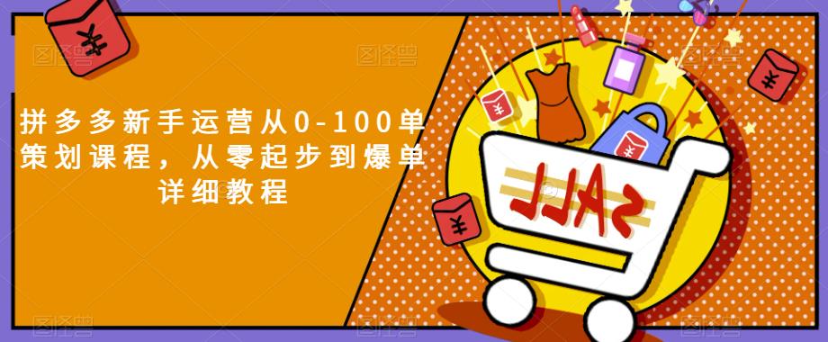拼多多新手运营从0-100单策划课程，从零起步到爆单详细教程-南青云资源库