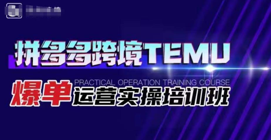 拼多多跨境TEMU爆单运营实操培训班，海外拼多多的选品、运营、爆单-南青云资源库