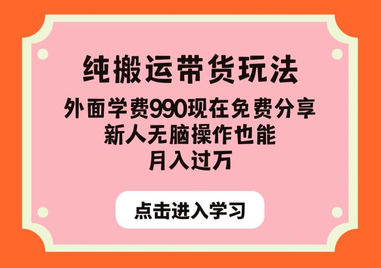 纯搬运带货玩法，外面学费990现在免费分享，新人无脑操作也能月入过万【揭秘】-南青云资源库