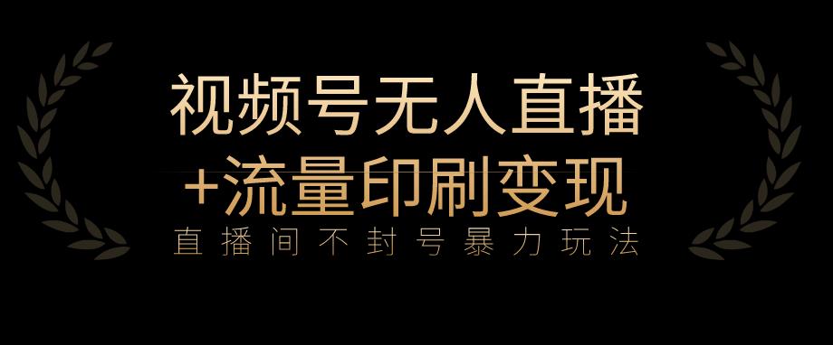 全网首发视频号不封号无人直播暴利玩法+流量印刷机变现，日入1000+【揭秘】-南青云资源库