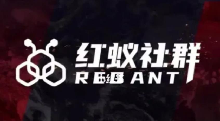 社群运营：红蚁社群【48节落地系统课程+2000人高端社群】-南青云资源库