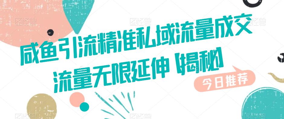 咸鱼引流精准私域流量成交流量无限延伸【揭秘】-南青云资源库