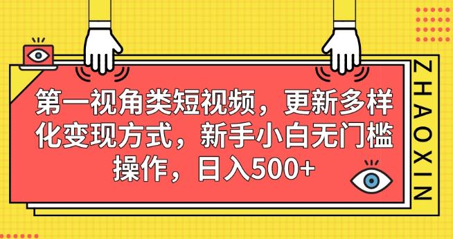第一视角类短视频，更新多样化变现方式，新手小白无门槛操作，日入500+【揭秘】-南青云资源库