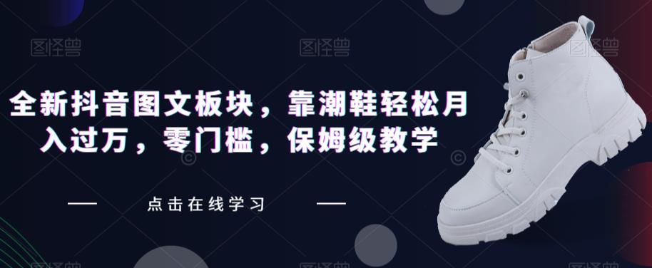 全新抖音图文板块，靠潮鞋轻松月入过万，零门槛，保姆级教学【揭秘】-南青云资源库