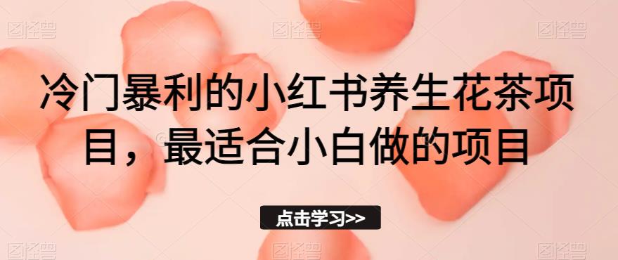 冷门暴利的小红书养生花茶项目，最适合小白做的项目【揭秘】-南青云资源库