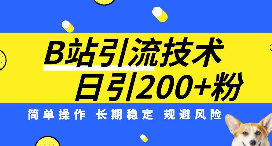 B站引流技术：每天引流200精准粉，简单操作，长期稳定，规避风险-南青云资源库