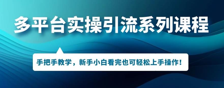 多平台引流实操系列课程，新手小白看完也可轻松上手进行引流操作-南青云资源库