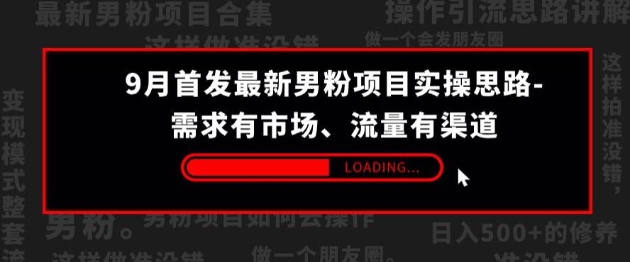 9月首发最新男粉项目实操思路-需求有市场，流量有渠道【揭秘】-南青云资源库