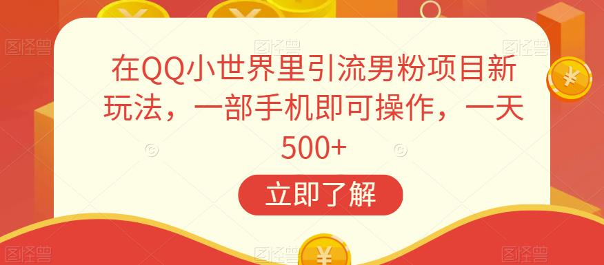 在QQ小世界里引流男粉项目新玩法，一部手机即可操作，一天500+【揭秘】-南青云资源库