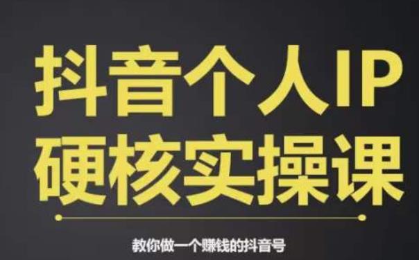 个人IP创富系统实战课，商业定位，流量打造，短视频变现，教你做个赚钱的抖音号-南青云资源库