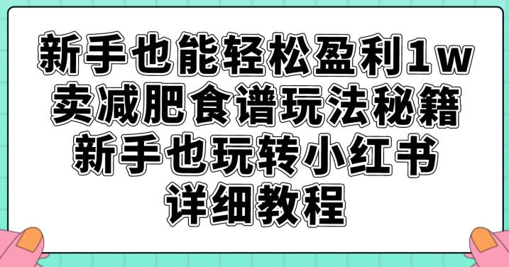 新手也能轻松盈利1w，卖减肥食谱玩法秘籍，新手也玩转小红书详细教程【揭秘】-南青云资源库
