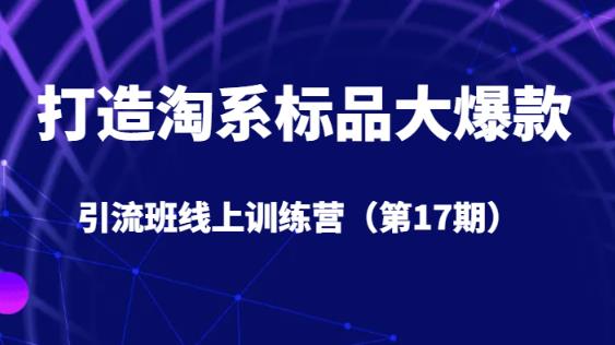 打造淘系标品大爆款引流班线上训练营（第17期）5天直播授课-南青云资源库
