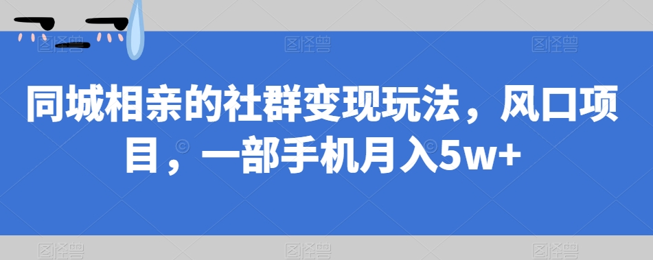 同城相亲的社群变现玩法，风口项目，一部手机月入5w+【揭秘】-南青云资源库