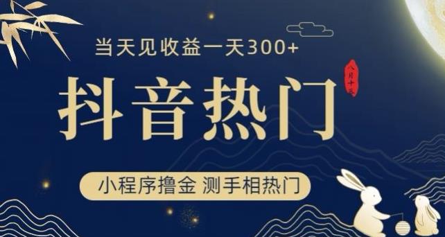 抖音最新小程序撸金，测手相上热门，当天见收益一小时变现300+【揭秘】-南青云资源库