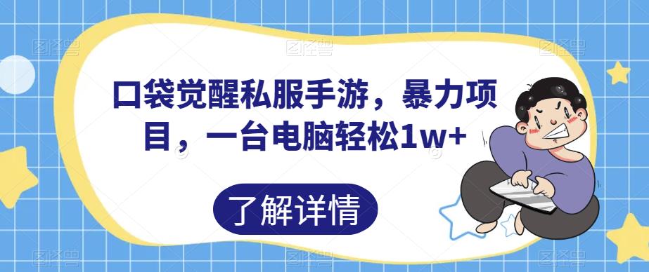 口袋觉醒私服手游，暴力项目，一台电脑轻松1w+【揭秘】-南青云资源库