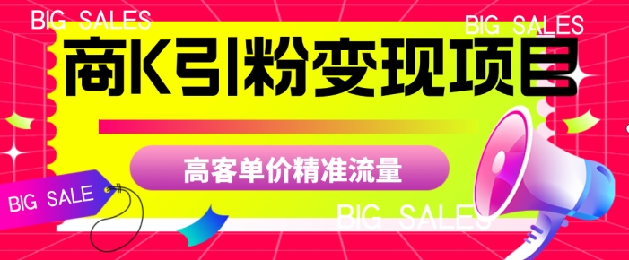 商K引粉变现项目，高客单价精准流量【揭秘】-南青云资源库