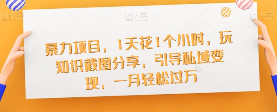 暴力项目，1天花1个小时，玩知识截图分享，引导私域变现，一月轻松过万【截图】-南青云资源库