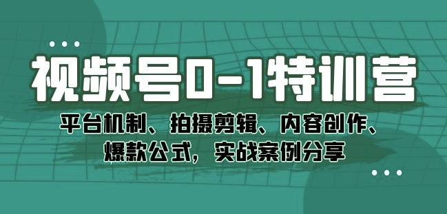 视频号0-1特训营：平台机制、拍摄剪辑、内容创作、爆款公式，实战案例分享-南青云资源库