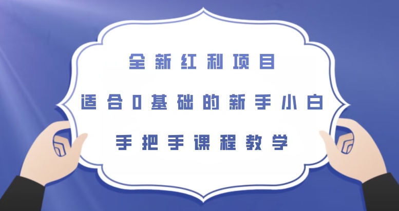 全新红利项目，适合0基础的新手小白，手把手课程教学【揭秘】-南青云资源库
