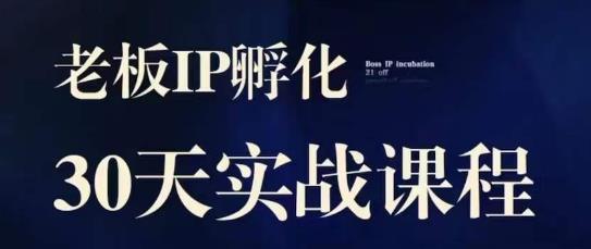 诸葛·2023老板IP实战课，实体同城引流获客，IP孵化必听-南青云资源库