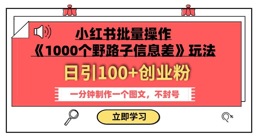 小红书批量操作《1000个野路子信息差》玩法，一分钟制作一个图文，不封号，日引100+创业粉-南青云资源库