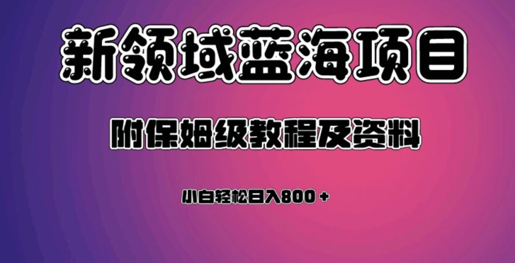 虚拟资源蓝海领域新项目，轻松日入800＋，附保姆级教程及资料-南青云资源库