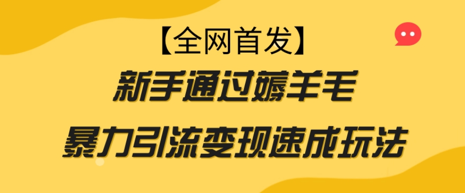 【全网首发】新手通过薅羊毛暴力引流变现速成玩法-南青云资源库
