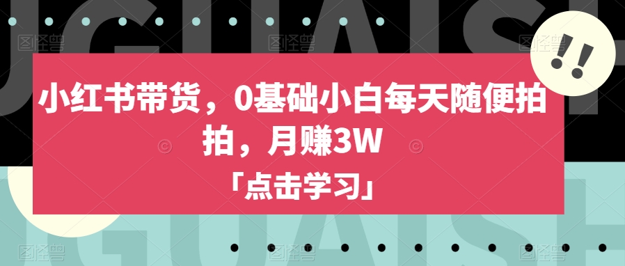 小红书带货，0基础小白每天随便拍拍，月赚3W【揭秘】-南青云资源库