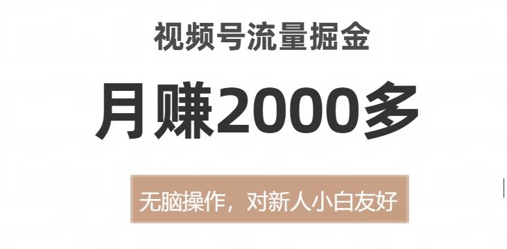 视频号流量掘金，无脑操作，对新人小白友好，月赚2000多【揭秘】-南青云资源库