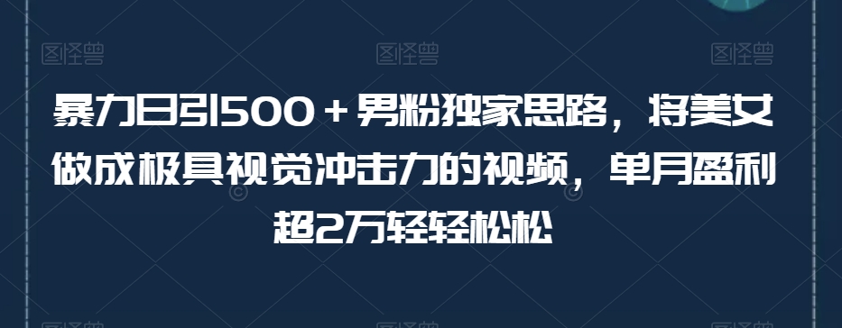 暴力日引500＋男粉独家思路，将美女做成极具视觉冲击力的视频，单月盈利超2万轻轻松松-南青云资源库